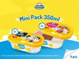 Campina Mini Pack 350ml 